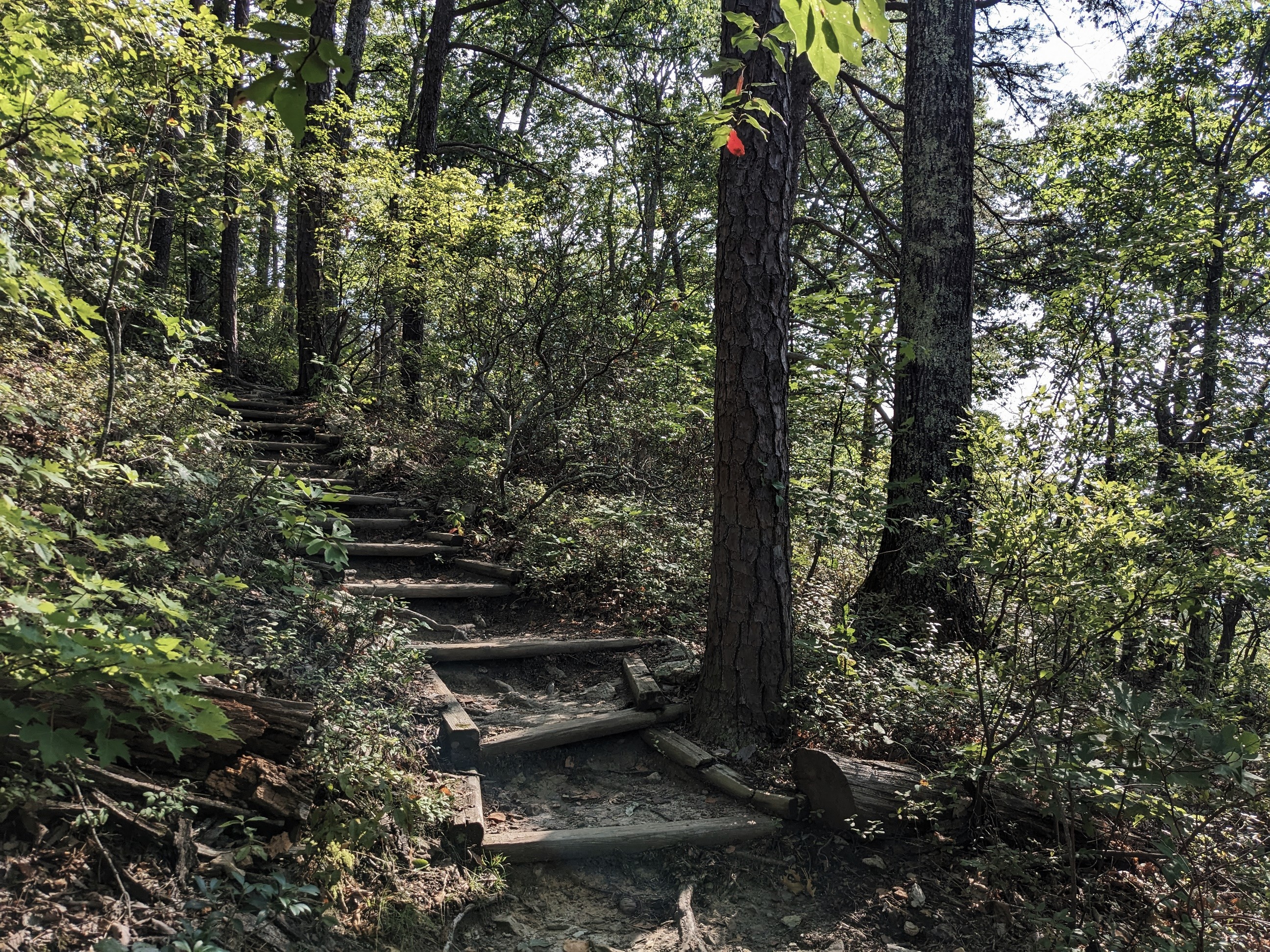 Appalachian Trail.